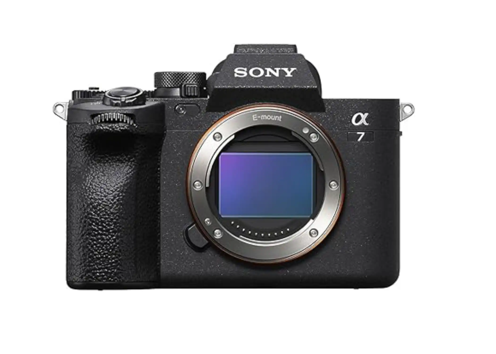 Canon EOS R vs Sony A7IV comparison review